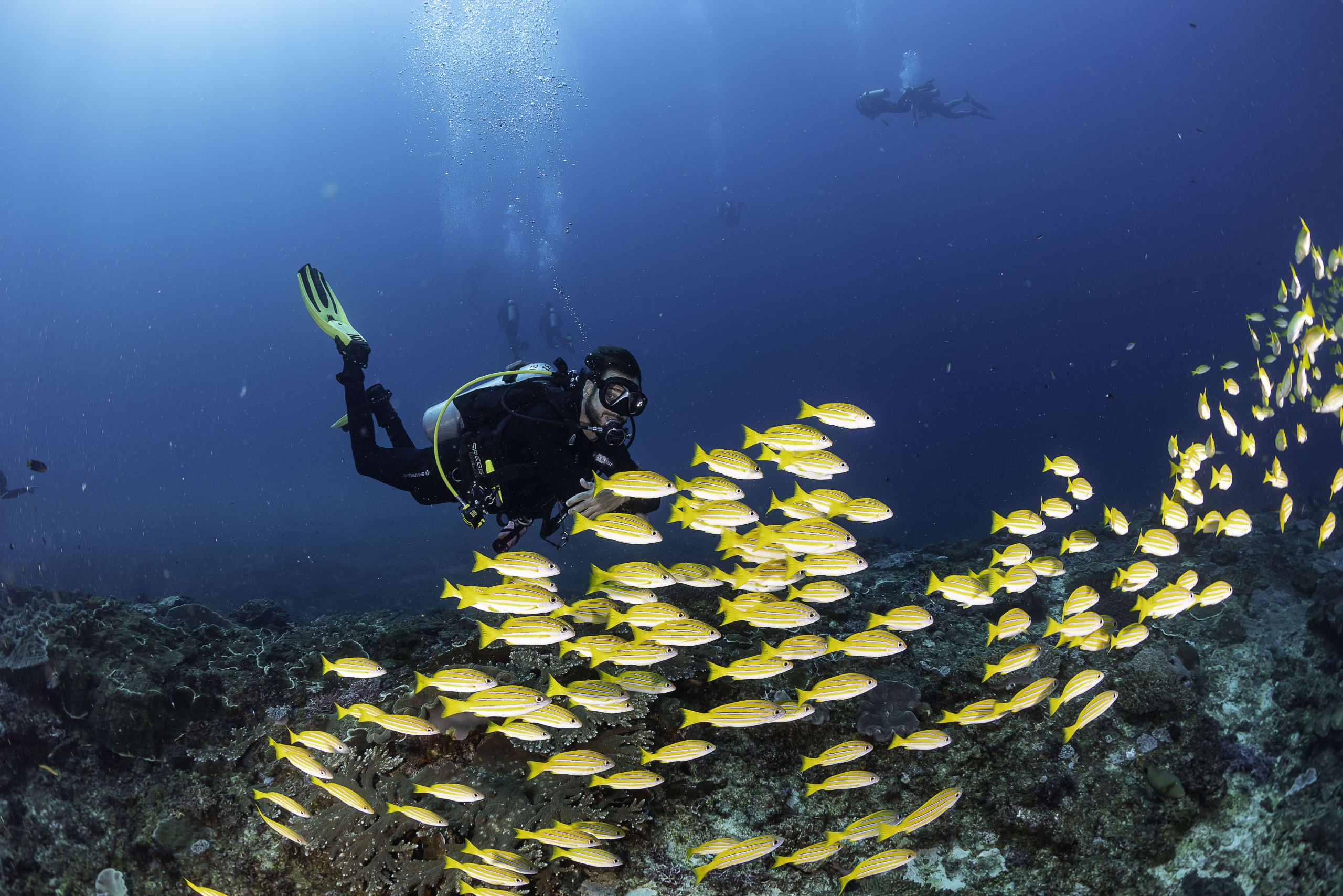 Drift diving Nusa Penida